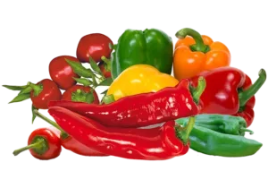 Peperoni: Una sinfonia di colori e sapori