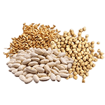 Legumi e cereali