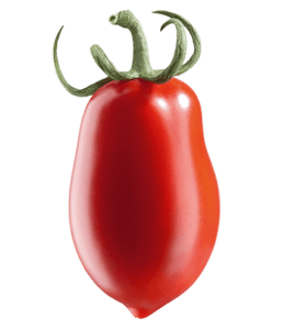 La produzione di pomodori da salsa: Cuore robusto per le tue ricette