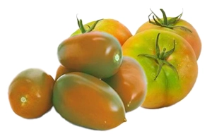 Il Pomodoro Insalataro: Freschezza e croccantezza in ogni morso