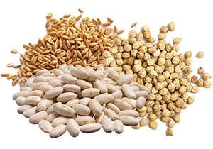 Legumi: Una ricchezza di proteine vegetali