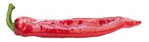 Produzione di peperoni dell'Azienda Agricola Marino