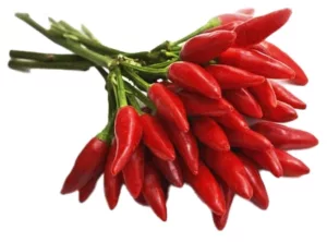 Produzione di peperoni piccanti a mazzo dell'Azienda Agricola Marino Margherita