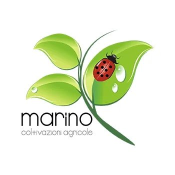I sottoli dell'Azienda Agricola Marino Margherita