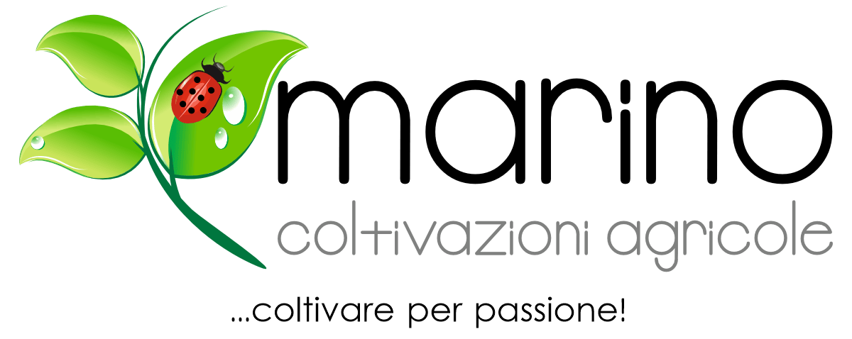 Logo Azienda Agricola Marino Margherita